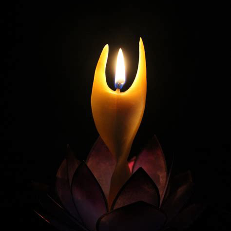 Licht_1